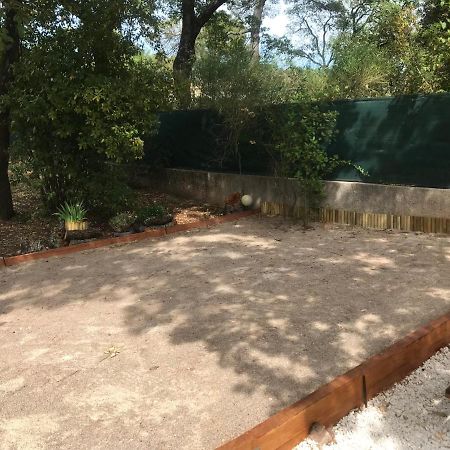 Mas Provencal Au Cannet Des Maures Le Cannet-des-Maures Zewnętrze zdjęcie