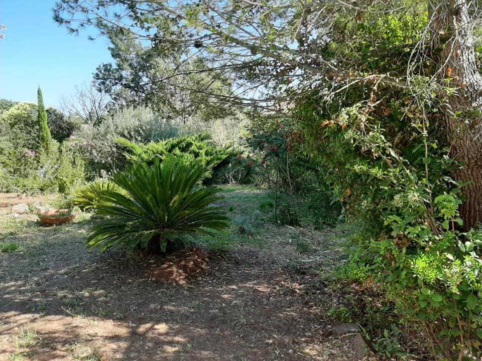 Mas Provencal Au Cannet Des Maures Le Cannet-des-Maures Zewnętrze zdjęcie