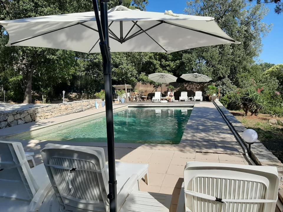 Mas Provencal Au Cannet Des Maures Le Cannet-des-Maures Zewnętrze zdjęcie