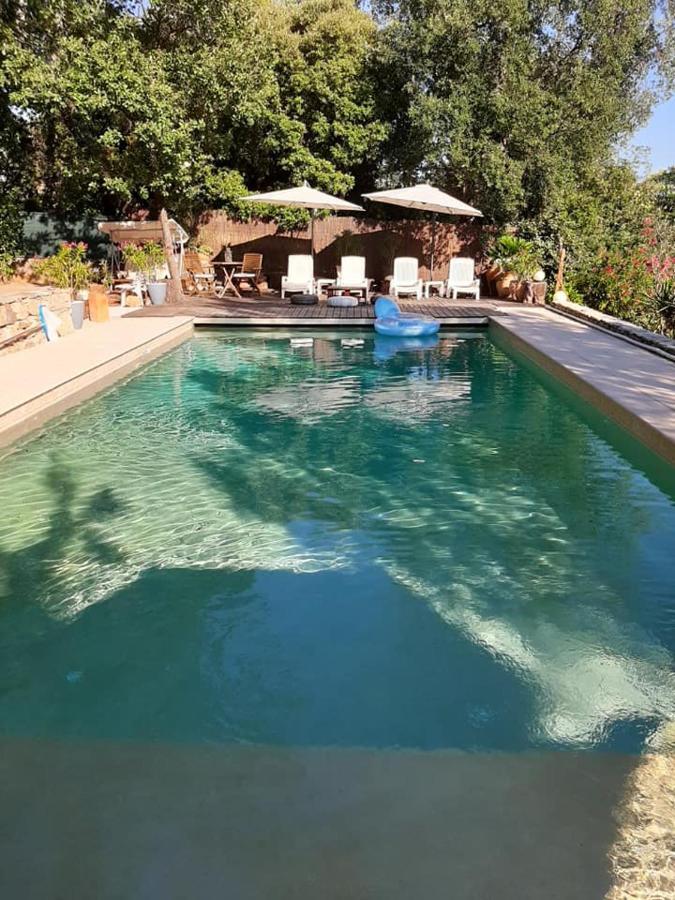 Mas Provencal Au Cannet Des Maures Le Cannet-des-Maures Zewnętrze zdjęcie