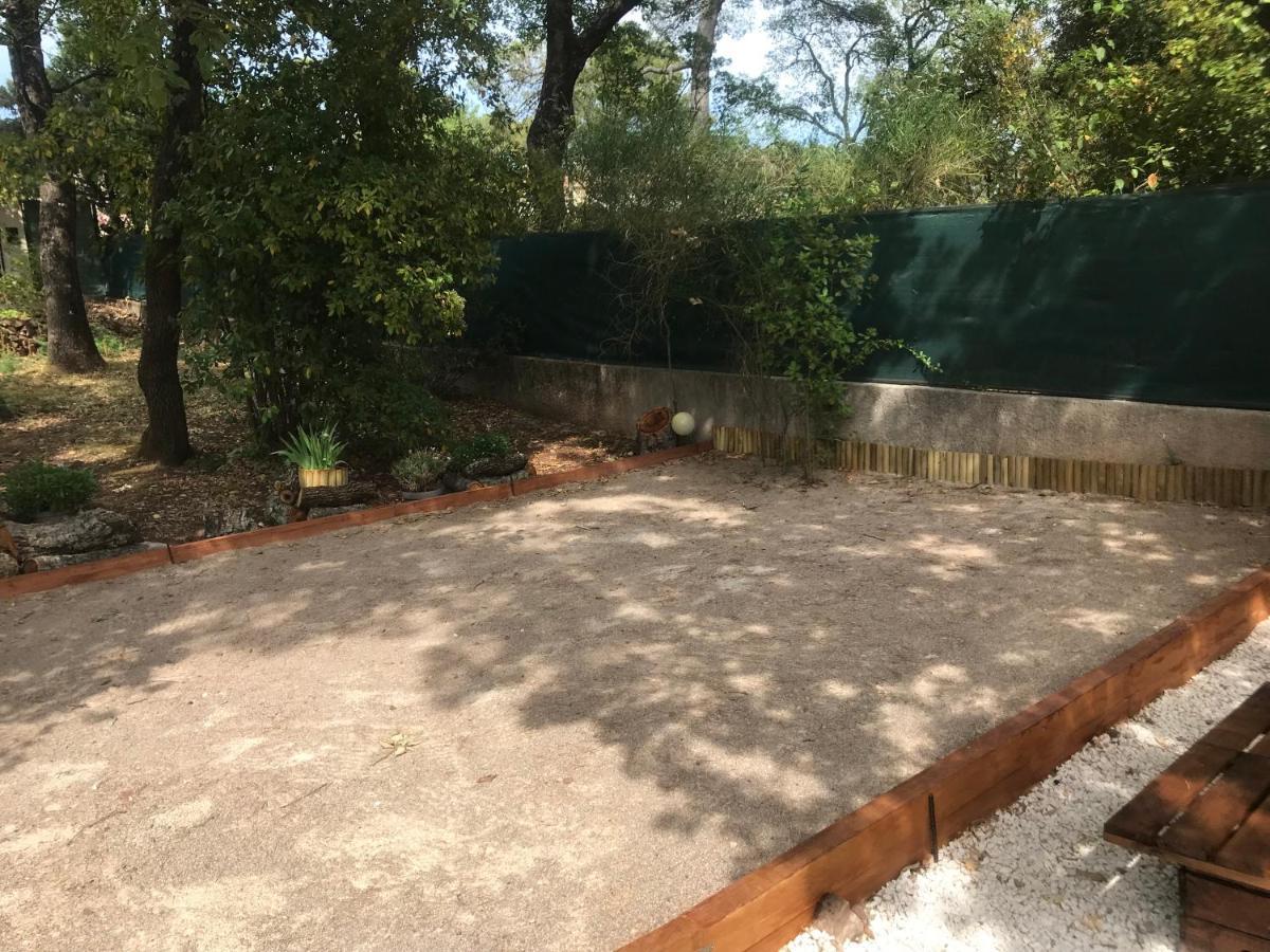 Mas Provencal Au Cannet Des Maures Le Cannet-des-Maures Zewnętrze zdjęcie