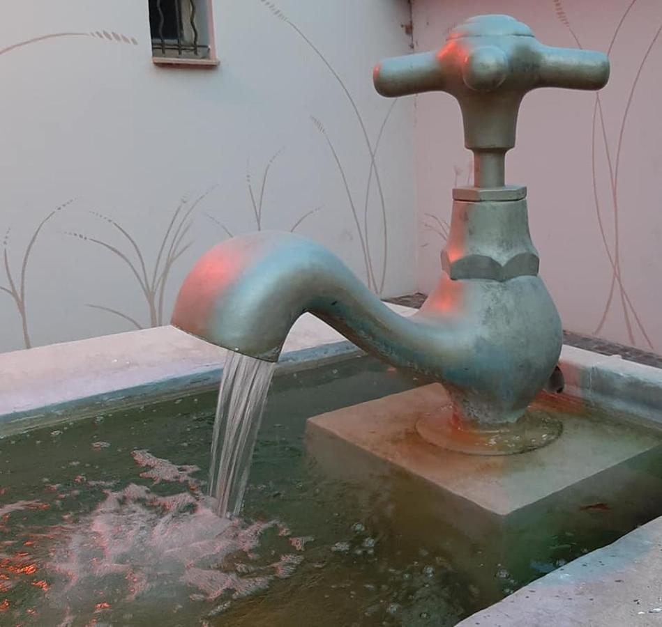 Mas Provencal Au Cannet Des Maures Le Cannet-des-Maures Zewnętrze zdjęcie