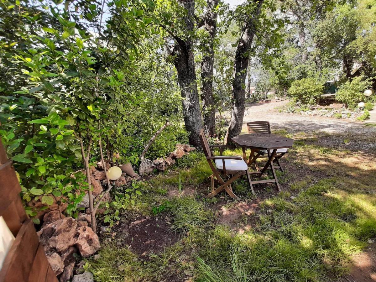 Mas Provencal Au Cannet Des Maures Le Cannet-des-Maures Zewnętrze zdjęcie